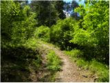 Planina (Dolnja Planina) - Hunting cottage on Planinska gora